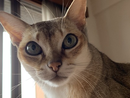 0484A7F2-C90F-4E45-8A4D-A44258E8895B.jpeg