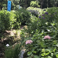 170618-3.JPG