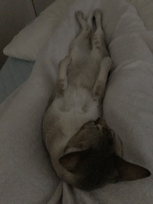 170821.JPG