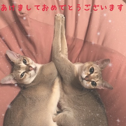 1D4AACE0-94E1-48E3-A7F6-769409F08868.jpeg