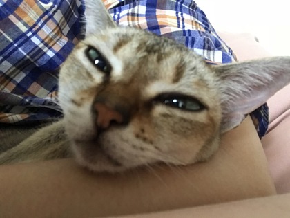 3FC656BF-C709-43BB-8D28-E0848D1530DF.jpeg