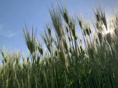 6D4547A0-CA68-4BD6-A28F-48D67429CA22.jpeg