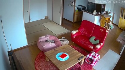 A31B147C-9548-4935-A002-B5433F4D67B2.jpeg