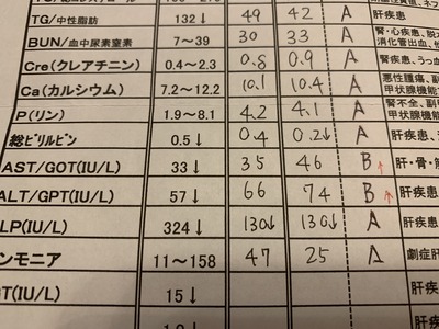 AD2CE9A3-191D-4FEA-A355-5C3A5E7D379F.jpeg