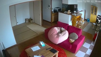 E19700D9-97D6-4A6C-9A0C-EF088244CC53.jpeg