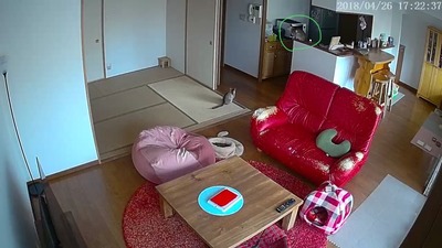 E9B5693C-8665-48A7-ADFD-765653145075.jpeg