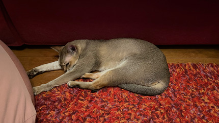IMG_0031.jpeg