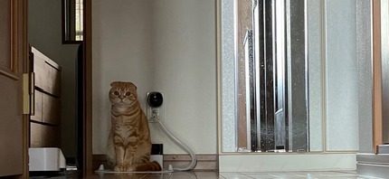 IMG_0049.jpeg
