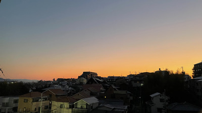 IMG_9748.jpeg