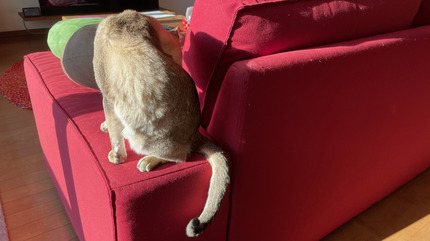 IMG_9810.jpeg