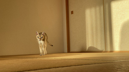 IMG_9942.jpeg