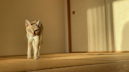 IMG_9943.jpeg