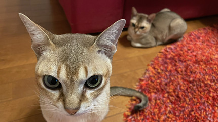 IMG_9948.jpeg